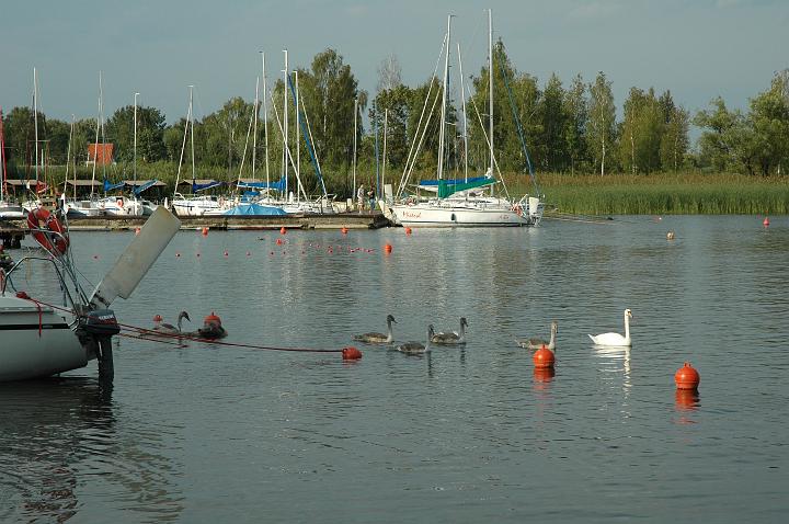 wilkasy06.jpg