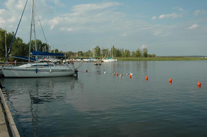 wilkasy07.jpg