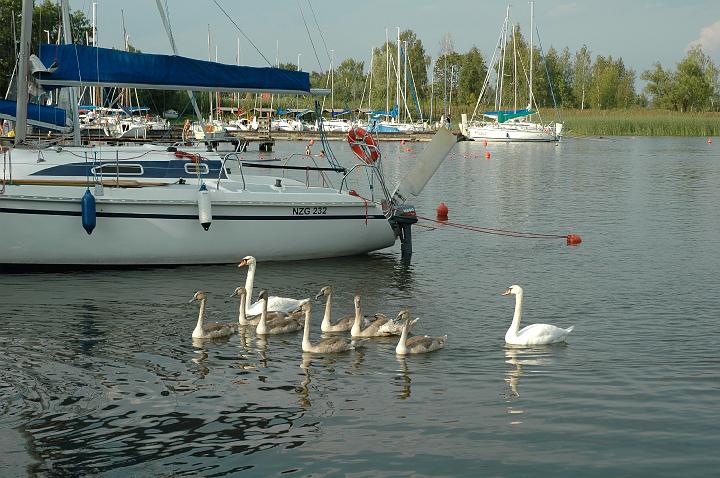 wilkasy08.jpg