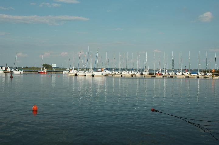 wilkasy09.jpg