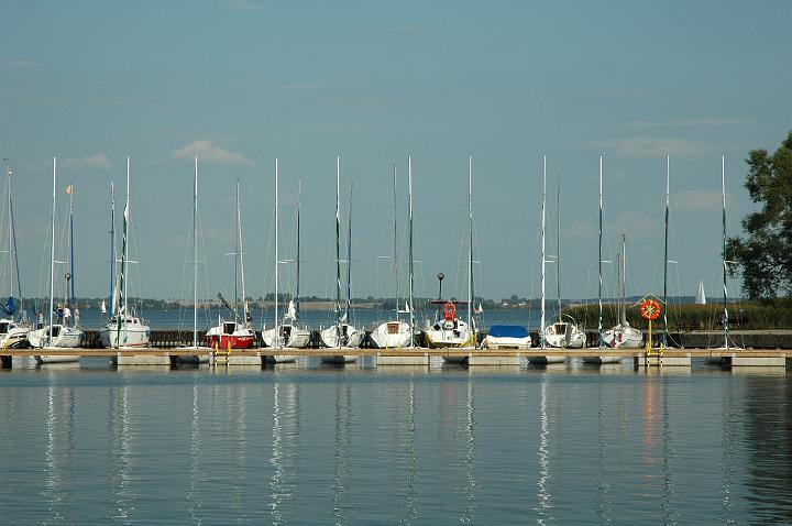 wilkasy11.jpg