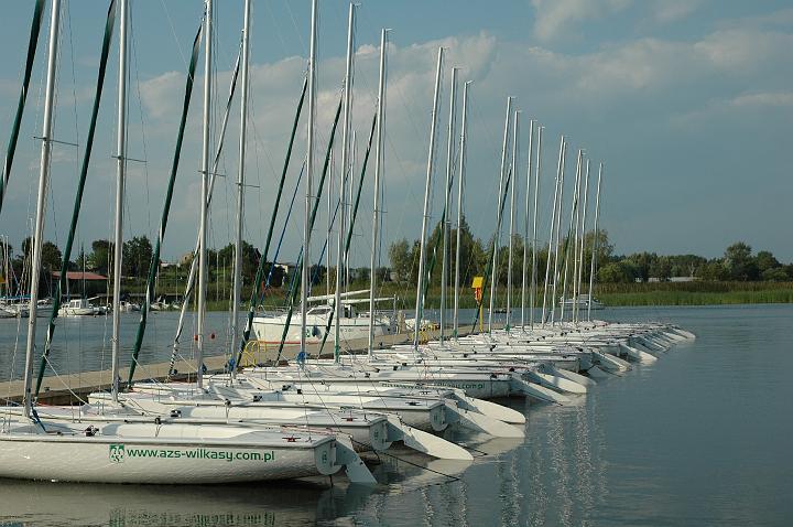 wilkasy14.jpg