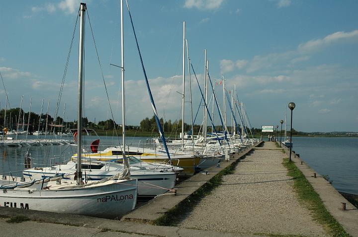 wilkasy16.jpg
