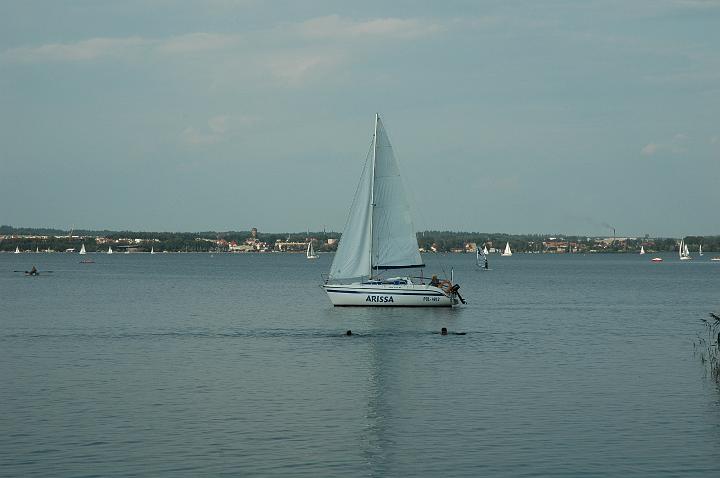 wilkasy20.jpg